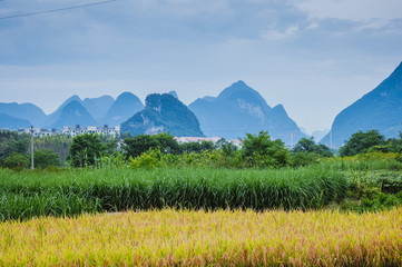 603876 鼎胜新材股吧