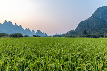 东风风光s5607座多少钱